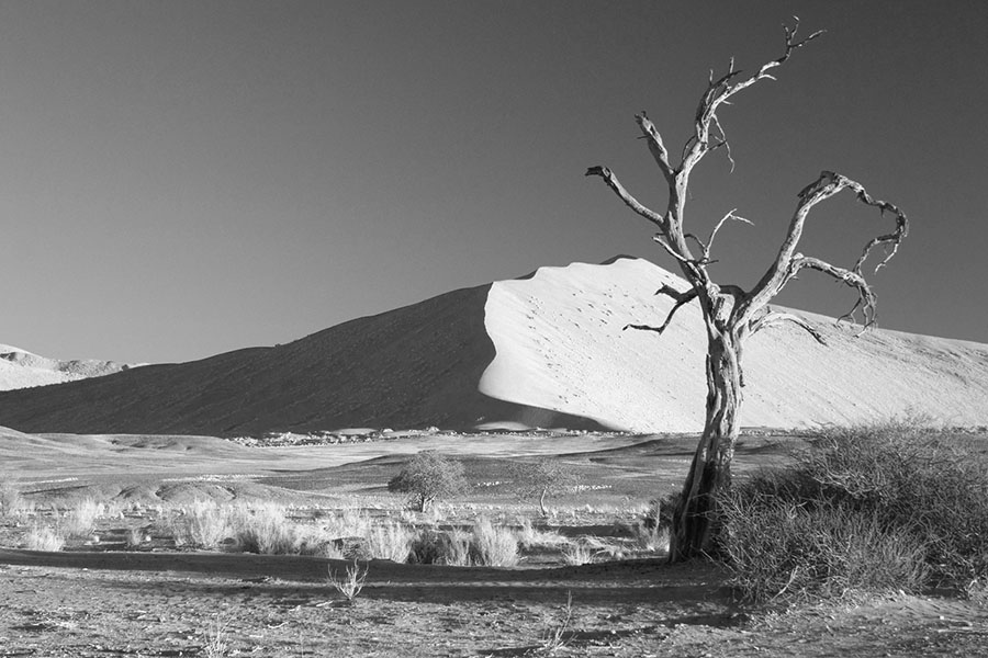 Mercados corporativos: oferecendo valor em tempos de crise