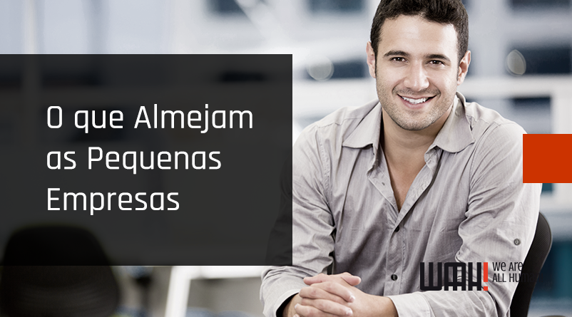 O que almejam as pequenas empresas